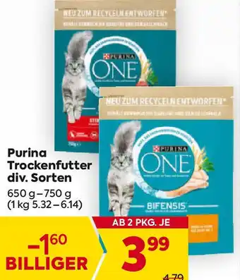 Billa Trockenfutter Angebot