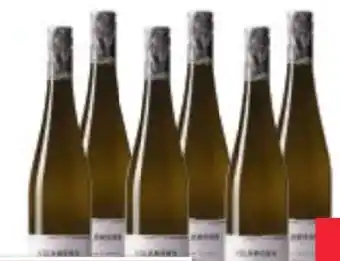 Maximarkt Weingut Kolkmann Grüner Veltliner Classic Wagram Angebot