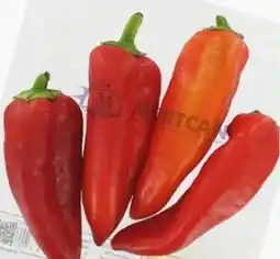 ETSAN Paprika Kapya Angebot