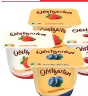 Maximarkt Danone Obstgarten Angebot