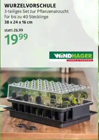 Bellaflora Wurzelvorschule Angebot