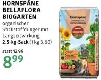 Bellaflora Hornspäne Angebot