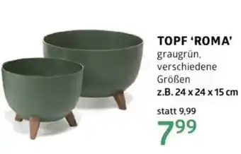 Bellaflora Topf 'roma' graugrün Angebot