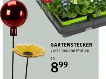 Bellaflora Gartenstecker Angebot