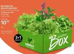 Bellaflora Bio kräuter Angebot