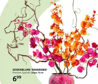 Bellaflora Seidenblume dendrobie Angebot