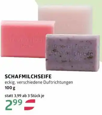 Bellaflora Schalmichself Rose Angebot