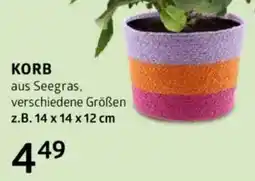 Bellaflora Korb Angebot