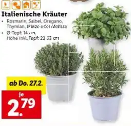 Lidl Italienische kräuter Angebot