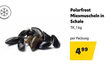 Landmarkt Polarfrost Miesmuscheln in Schale Angebot