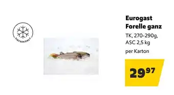 Landmarkt Eurogast forelle ganz Angebot