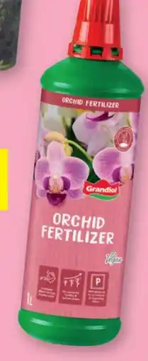 Lidl Grandiol Orchideendünger Angebot