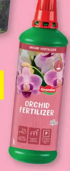 Lidl Grandiol Orchideendünger Angebot