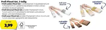 Hofer Profi Pinsel Set 3 Teilig Angebot