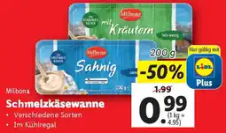 Lidl Schmelzkäsewanne Angebot