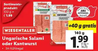 Lidl Ungarische Salami oder Kantwurst Angebot