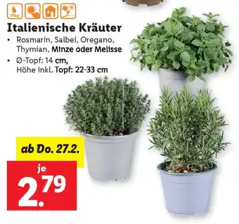 Lidl Italienische Kräuter Angebot