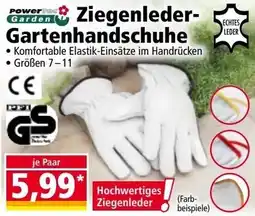 Norma Ziegenleder- Gartenhandschuhe Angebot