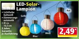 Norma LED-Solar-Lampion Angebot