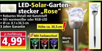 Norma Led-solar-garten-stecker rose Angebot