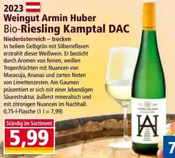 Norma Weingut Armin Huber Bio-Riesling Kamptal DAC Angebot