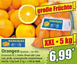 Norma Orangen Angebot