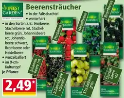 Norma Beerensträucher Angebot