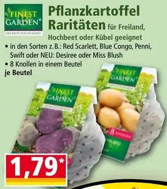 Norma Pflanzkartoffel Raritäten Angebot