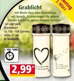 Norma Grablicht Angebot