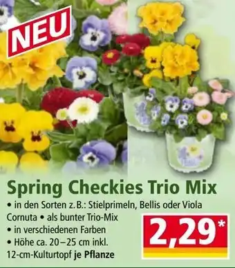 Norma Spring Checkies Trio Mix Angebot