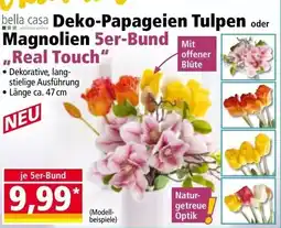 Norma Deko-Papageien Tulpen Magnolien Angebot