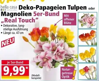 Norma Deko-Papageien Tulpen Magnolien Angebot