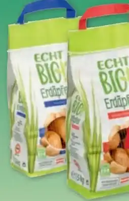 PENNY Echt Bio Erdäpfel Angebot