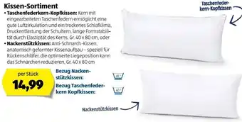 Hofer Kissen Sortiment Taschenfederkern Kopfkissen Angebot