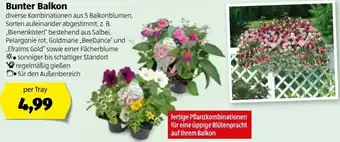 Hofer Bunter Balkon Angebot