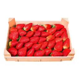 PENNY Erdbeeren Penny Angebot