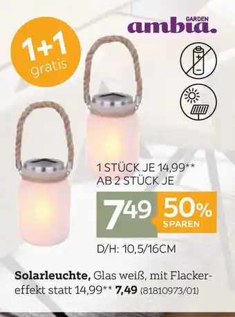 XXXLutz Solarleuchte Angebot