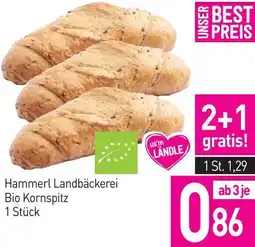 Sutterlüty Landbäckerei Bio Kornspitz Angebot