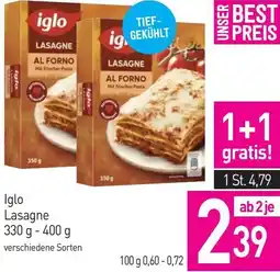 Sutterlüty Lasagne Angebot