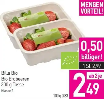 Sutterlüty Bio Erdbeeren Angebot