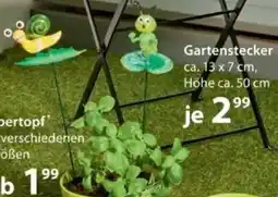 NKD Gartenstecker Angebot