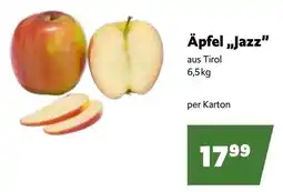 Eurogast Grissemann Äpfel „Jazz Angebot