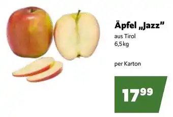 Eurogast Grissemann Äpfel „Jazz Angebot