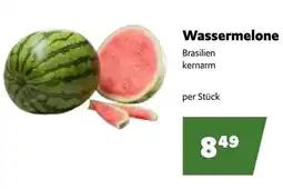 Eurogast Grissemann Wassermelone Angebot