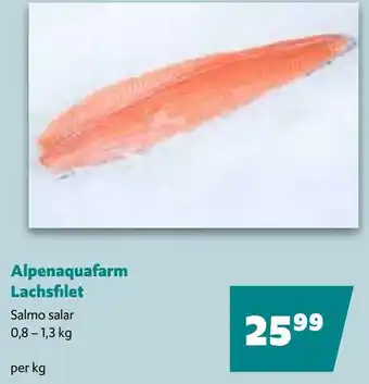 Eurogast Grissemann Alpenaquafarm Lachsfilet Angebot