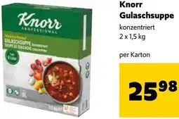 Eurogast Grissemann Gulaschsuppe Angebot