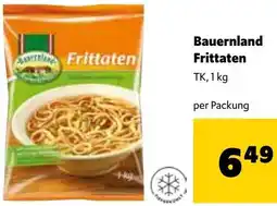 Eurogast Grissemann Frittaten Angebot