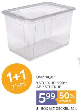 XXXLutz Box mit deckel, 35560156 XXXLutz Angebot