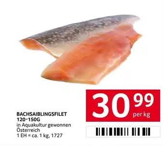 Transgourmet BACHSAIBLINGSFILET Angebot