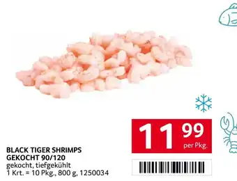 Transgourmet BLACK TIGER SHRIMPS GEKOCHT Angebot